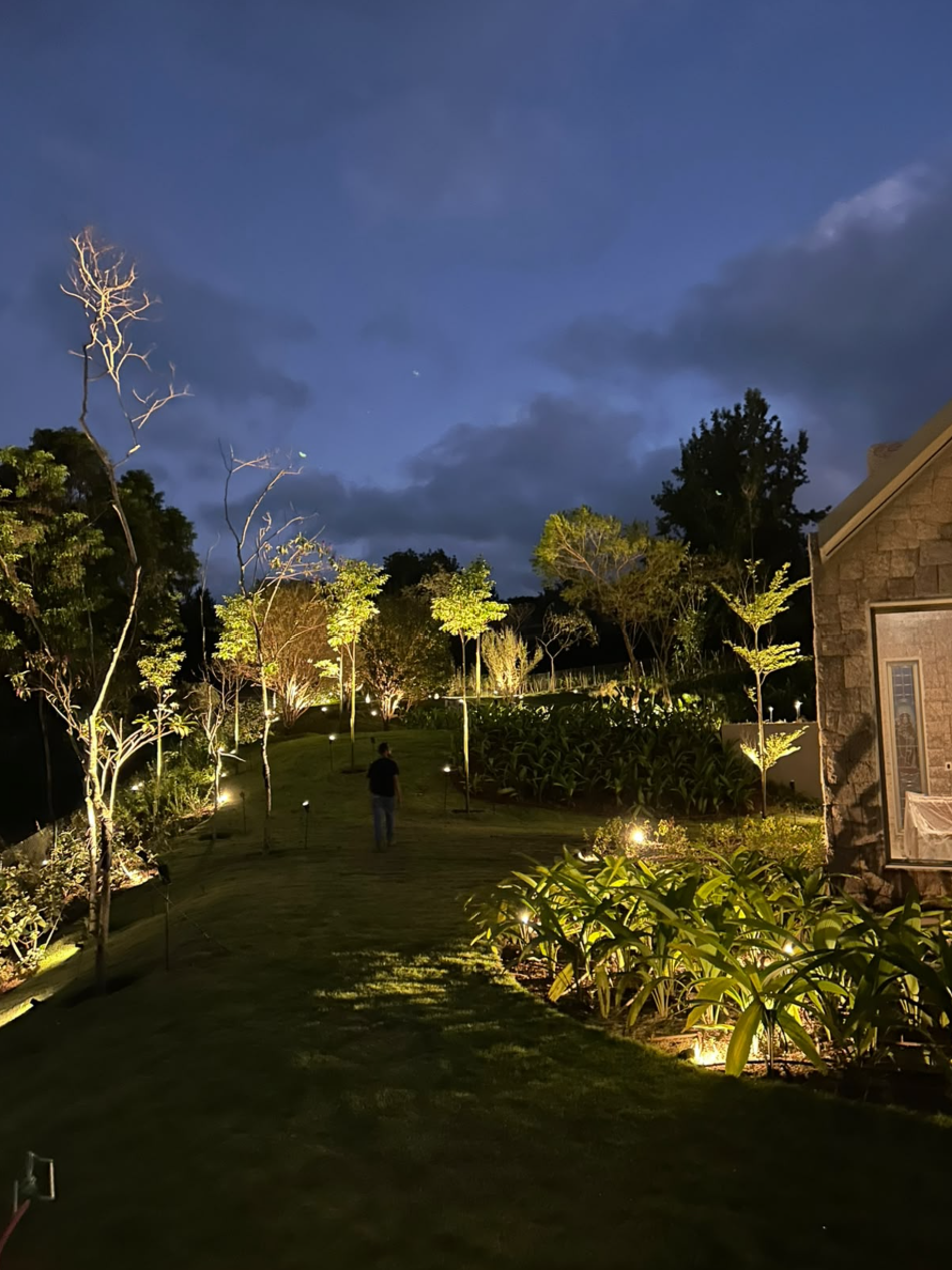 Jardim residencial com árvores e caminhos iluminados