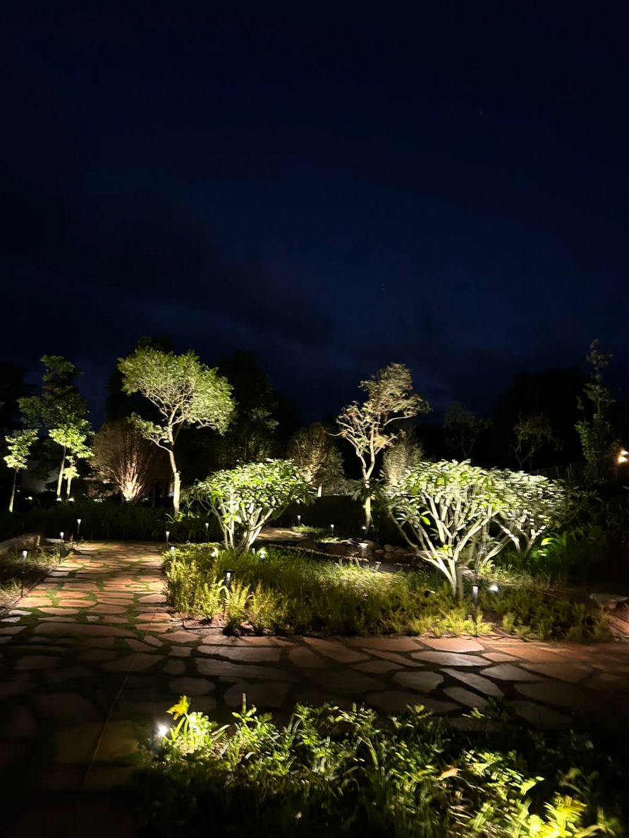 Paisagismo noturno com iluminação em árvores e vegetação